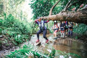 BIB: 
                            <button type="button" onclick="openModal(25514762)" class="btn btn-primary btn-sm float-right btn-popup" data-toggle="modal" data-target=".modal-high-quality">
                        <i class="fas fa-shopping-cart"></i> Add to Cart
                    </button>
                                            <button type="button" onclick="isThisMe(25514762, true)" class="btn btn-success btn-sm float-right btn-popup btn-isme hidden" data-toggle="tooltip" data-placement="bottom" title="นี่คือรูปของคุณใช่ไหม คลิกที่นี่เพื่อเอาเข้าอัลบั้ม">
                        <i class="fas fa-plus"></i> Add to album
                    </button>
                    <button type="button" onclick="isThisMe(25514762, false)" class="btn btn-warning btn-sm float-right btn-popup btn-isnotme hidden">
                        <i class="fas fa-ban"></i> Remove from album
                    </button>